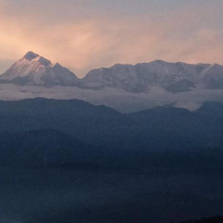 Golden Himalaya Homestay 코사니 외부 사진