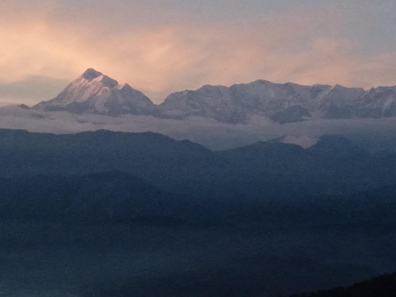 Golden Himalaya Homestay 코사니 외부 사진